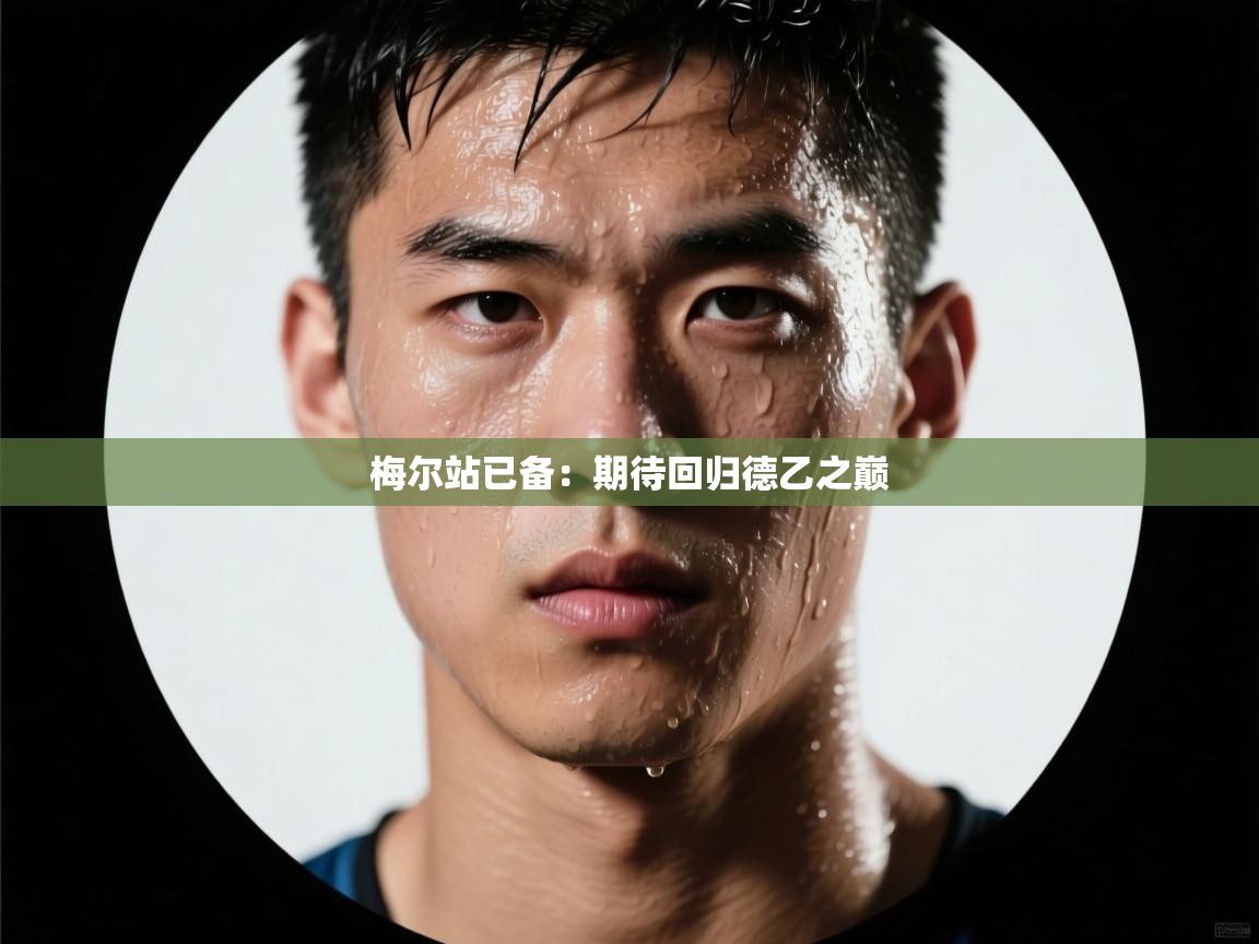 梅尔站已备：期待回归德乙之巅  第1张