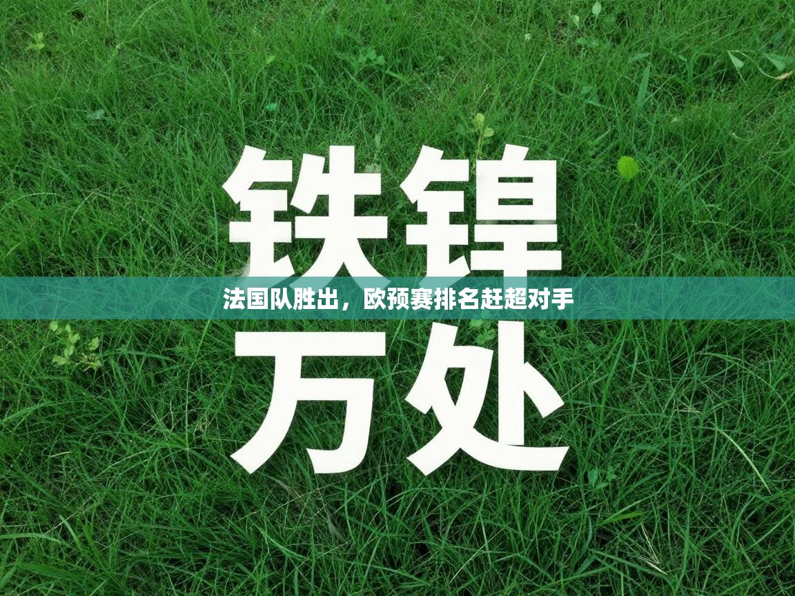 法国队胜出，欧预赛排名赶超对手  第1张