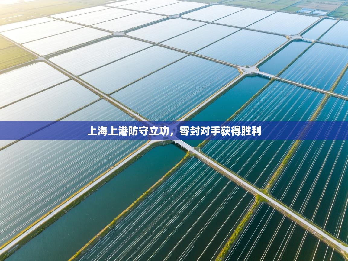 上海上港防守立功，零封对手获得胜利