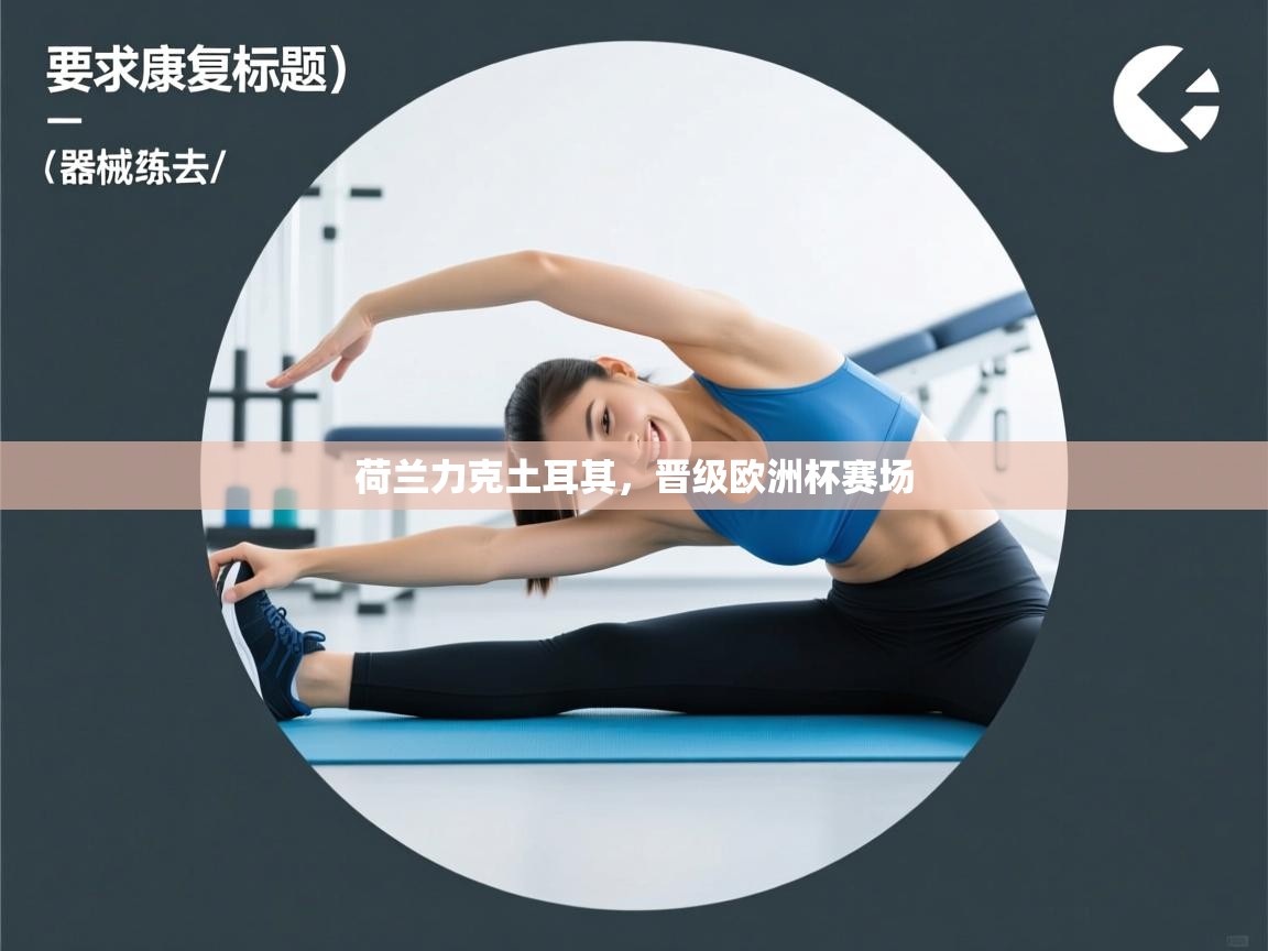 荷兰力克土耳其，晋级欧洲杯赛场